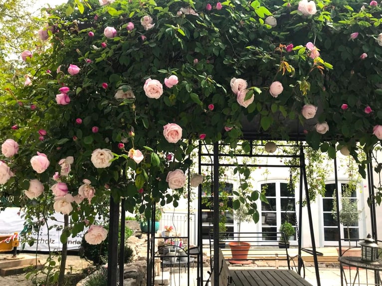 Sieraad in het Altmühltal – Hoogwaardig gerenoveerde boerderij met een kleine, moderne ruiterfacilit