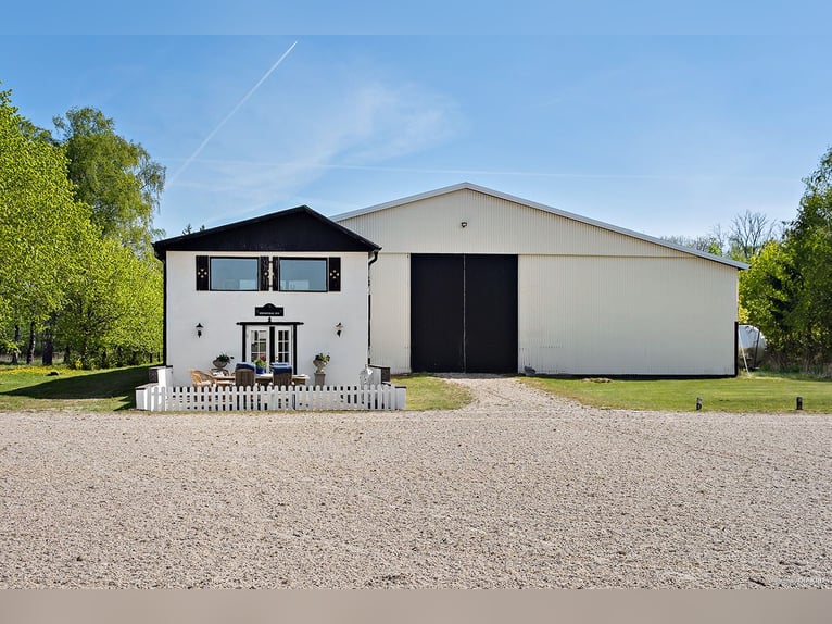 Springfield Farm – Een exclusief landgoed met internationaal potentieel, 8 hectare