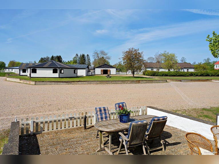 Springfield Farm – Een exclusief landgoed met internationaal potentieel, 8 hectare