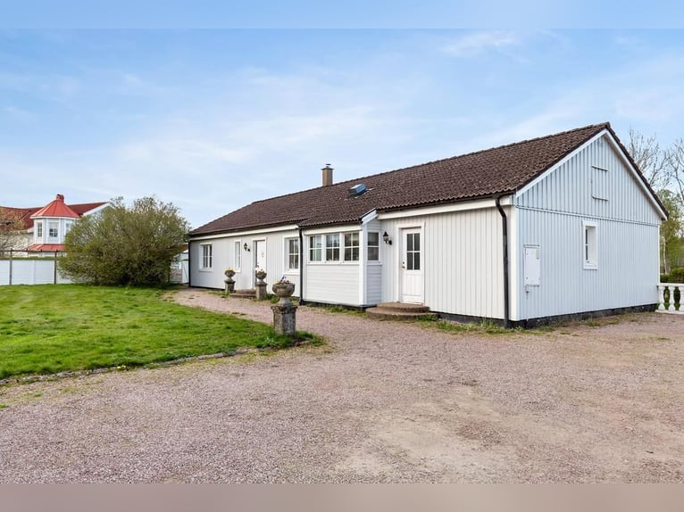 Springfield Farm – Een exclusief landgoed met internationaal potentieel, 8 hectare