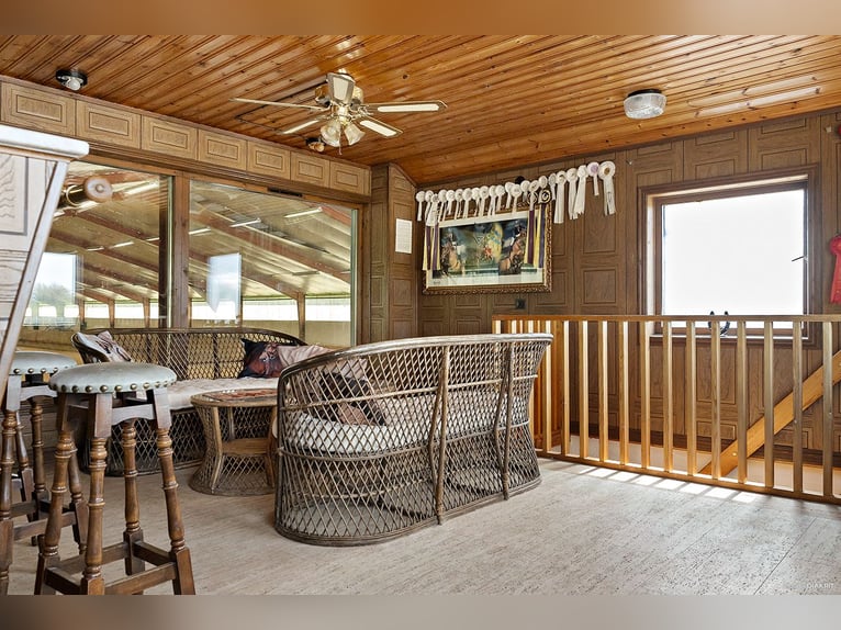 Springfield Farm – Een exclusief landgoed met internationaal potentieel, 8 hectare