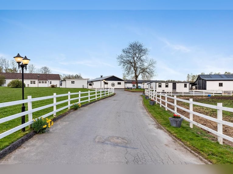 Springfield Farm – Een exclusief landgoed met internationaal potentieel, 8 hectare
