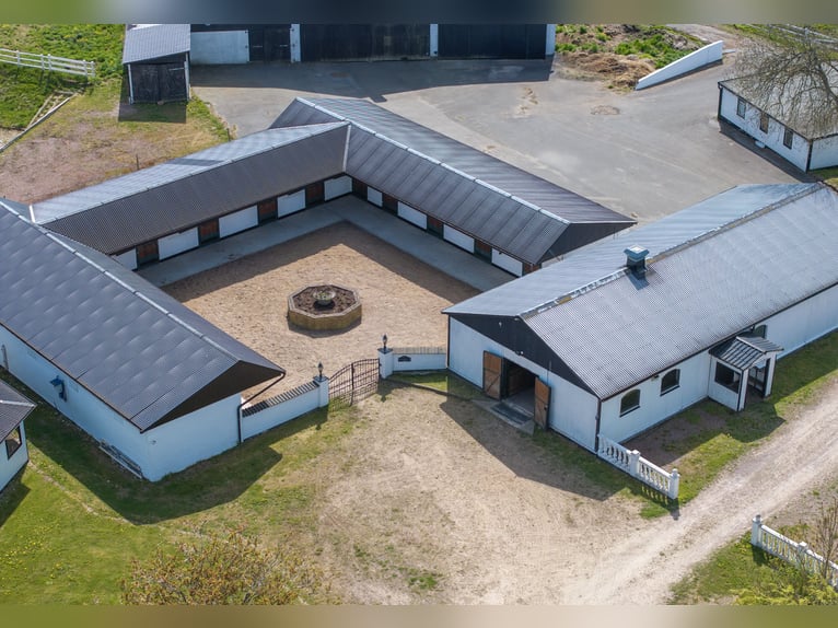 Springfield Farm – Een exclusief landgoed met internationaal potentieel, 8 hectare