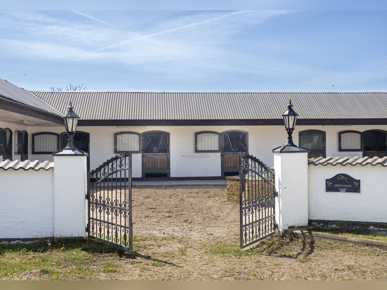 Springfield Farm – Een exclusief landgoed met internationaal potentieel, 8 hectare