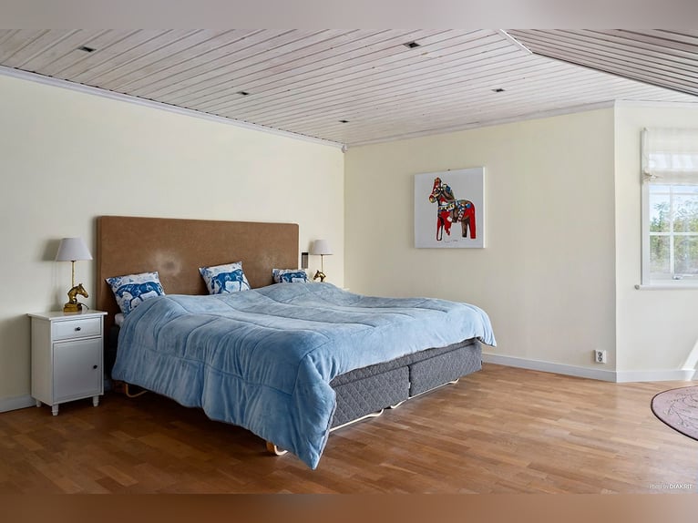 Springfield Farm – Een exclusief landgoed met internationaal potentieel, 8 hectare