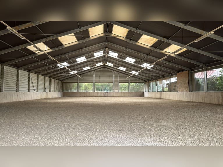 Stalltrakt oder Paddockboxen mit Freilauf für Selbstversorger auf Reitanlage 