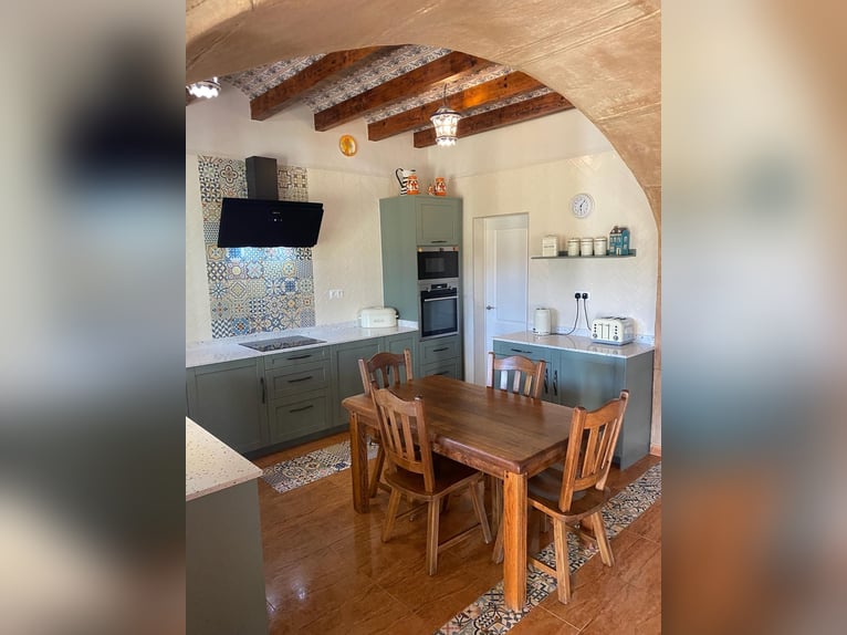 STUNNING EQUESTRIANPROPERTY/LANDHOUSE NEAR XATIVA/VALENCIA