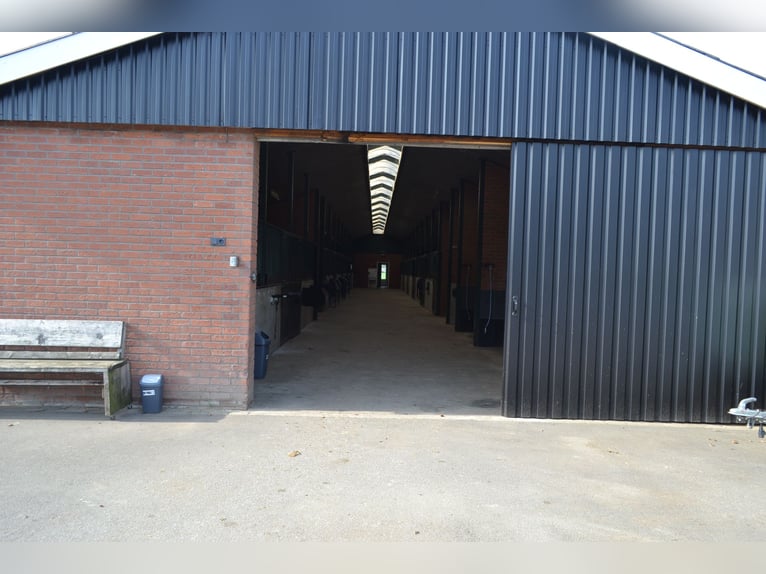 Te huur aangeboden een professionele paarden manege/complex/stallen