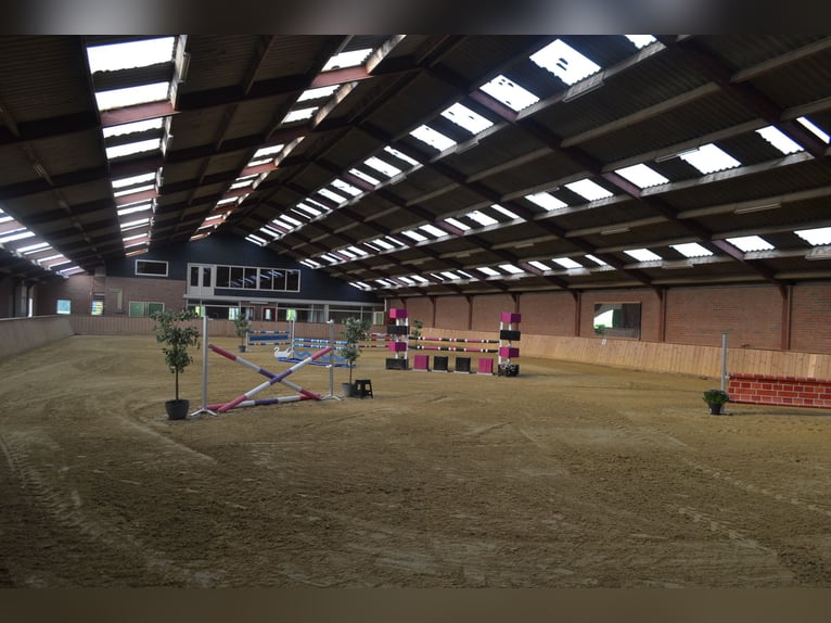 Te huur aangeboden een professionele paarden manege/complex/stallen