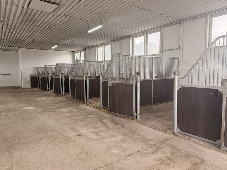 Te huur: Stallencomplex met 12 boxen en diverse opties ten zuiden van Berlijn – geschikt voor een pr