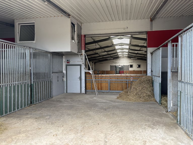 Te koop: moderne paardensportaccommodatie