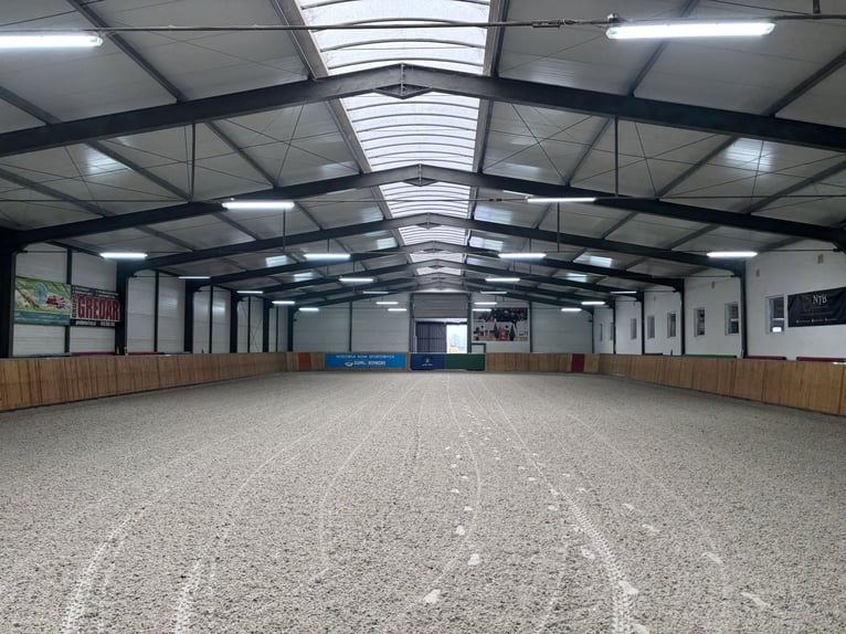 Te koop: moderne paardensportaccommodatie