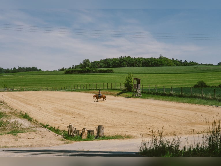 THE RANCH ist mehr als nur ein Zuhause – und weit mehr als ein klassischer Reiterhof