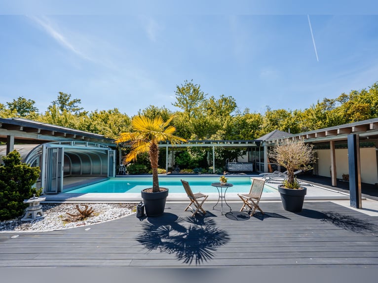THE RANCH ist mehr als nur ein Zuhause – und weit mehr als ein klassischer Reiterhof