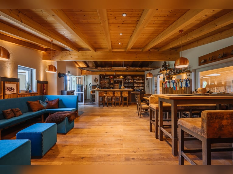 THE RANCH ist mehr als nur ein Zuhause – und weit mehr als ein klassischer Reiterhof
