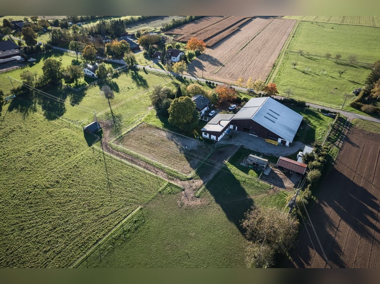 TOP Pferdehof in Auggen / Markgräflerland