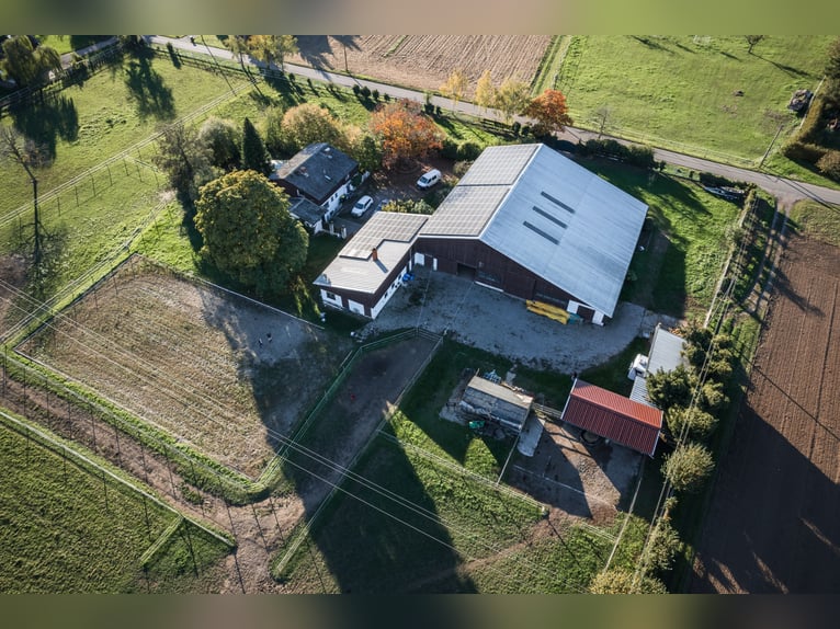 TOP Pferdehof in Auggen / Markgräflerland