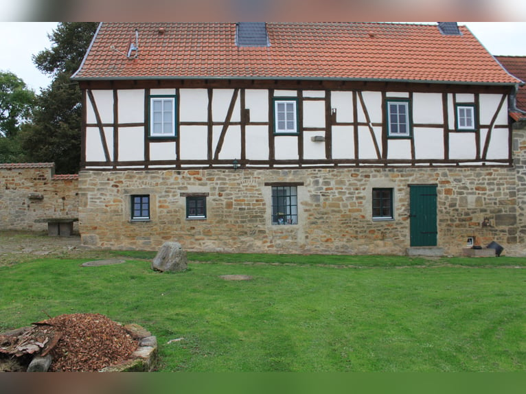 Traumhaft schöner Landsitz mit eigenem Wald, Reiterhof u.v.m. in ruhiger Lage mit guter Anbindung