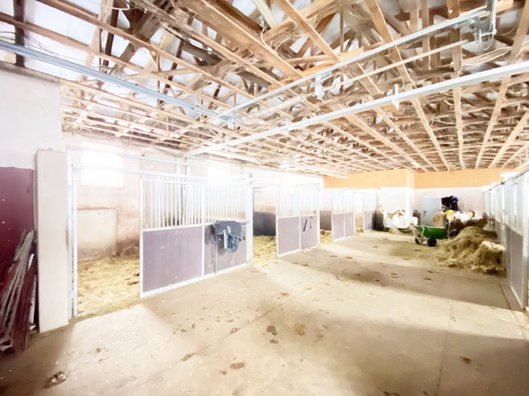 Traumhafte Reitanlage mit Reiterstube – Alleinlage inmitten Südthüringer Natur + perfekte Anbindung