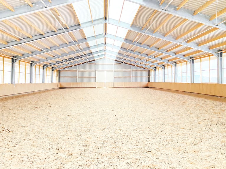 Traumhafte Reitanlage mit Reiterstube – Alleinlage inmitten Südthüringer Natur + perfekte Anbindung