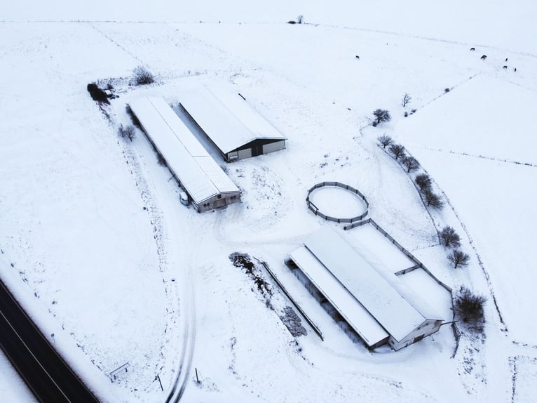 Traumhafte Reitanlage mit Reiterstube – Alleinlage inmitten Südthüringer Natur + perfekte Anbindung