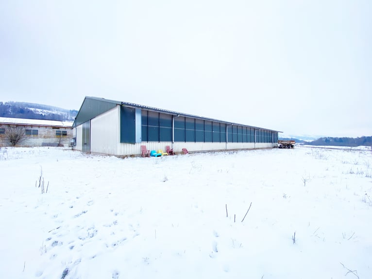 Traumhafte Reitanlage mit Reiterstube – Alleinlage inmitten Südthüringer Natur + perfekte Anbindung