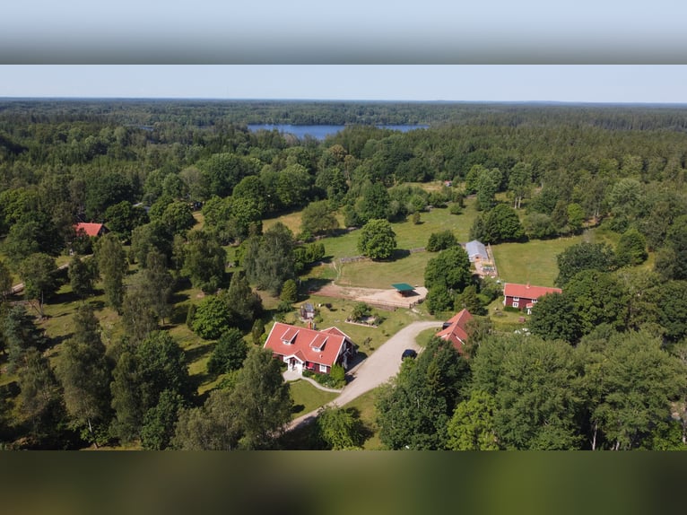 Uniek landgoed in Blekinge / Zuid-Zweden