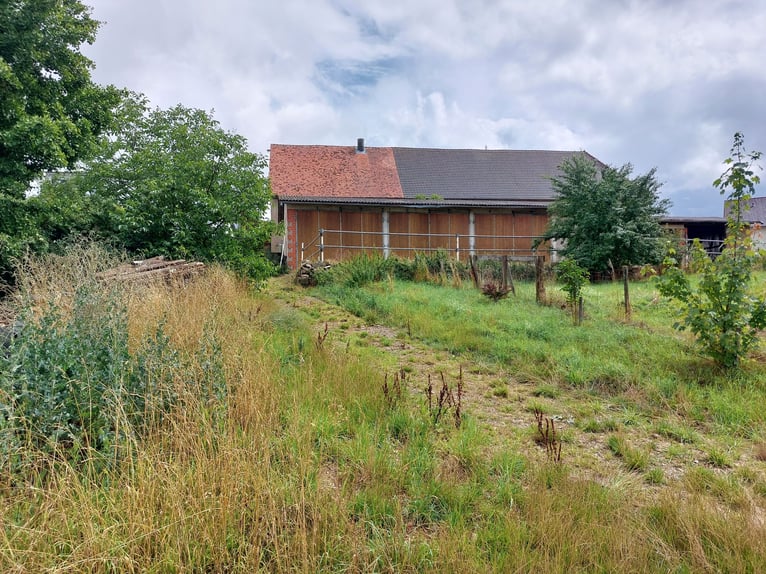 Uniek landgoed met ontwikkelingspotentieel – wonen, werken en paarden- of dierenhouderij gecombineer
