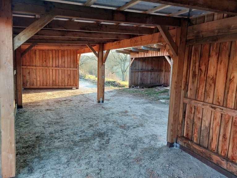 Uniek landgoed met ontwikkelingspotentieel – wonen, werken en paarden- of dierenhouderij gecombineer