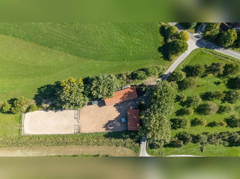 Uniek landgoed voor paardenliefhebbers: de perfecte combinatie van traditie en moderniteit