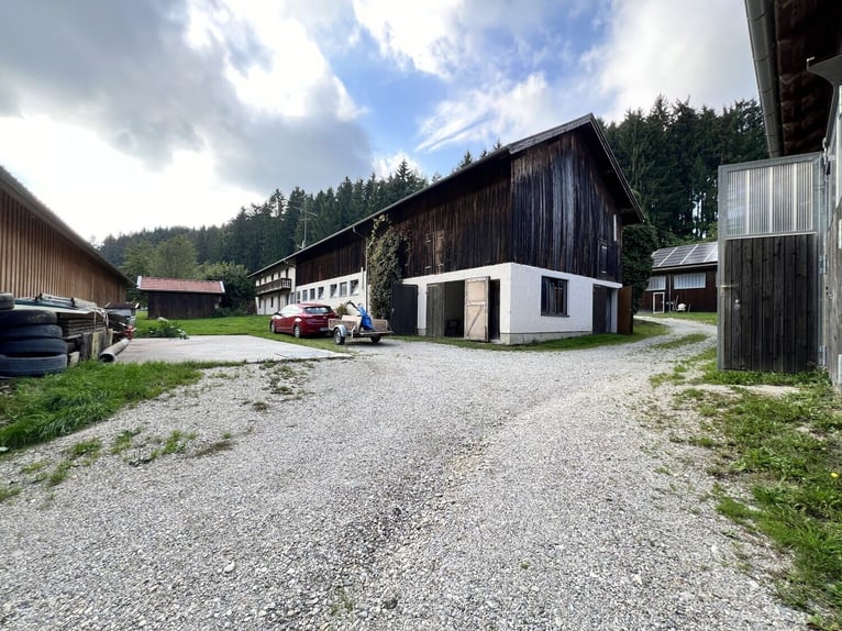 Uniek paardenbedrijf op een idyllische, afgelegen locatie – circa 4 hectare eigen land, twee woonhui