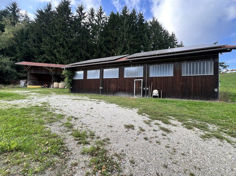 Uniek paardenbedrijf op een idyllische, afgelegen locatie – circa 4 hectare eigen land, twee woonhui
