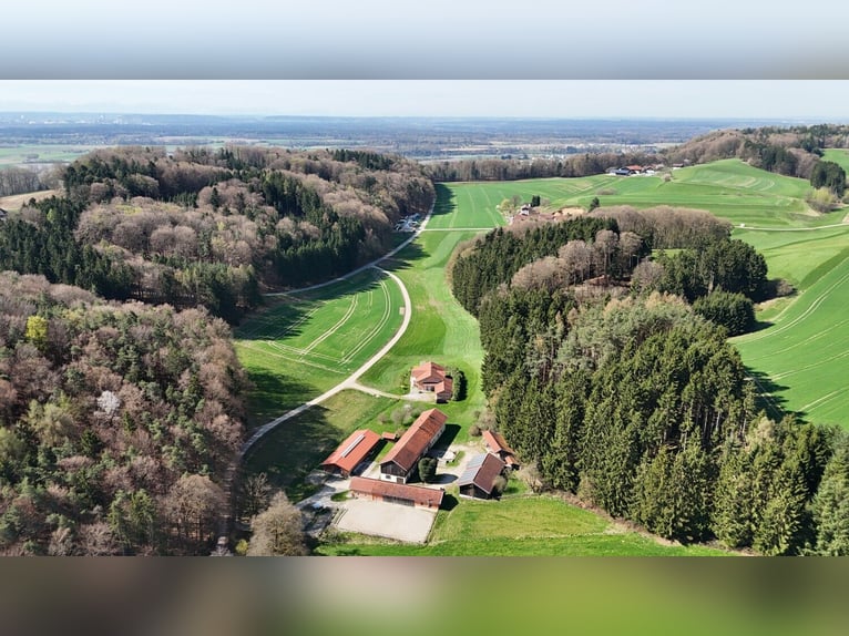 Uniek paardenbedrijf op een idyllische, afgelegen locatie – circa 4 hectare eigen land, twee woonhui