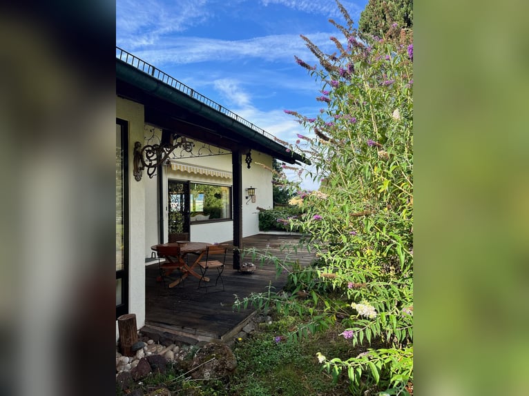 Uniek paardenpension in de Pfalz – 5,8 hectare, woning, stallen, binnenbak, buitenrijbaan, weiden