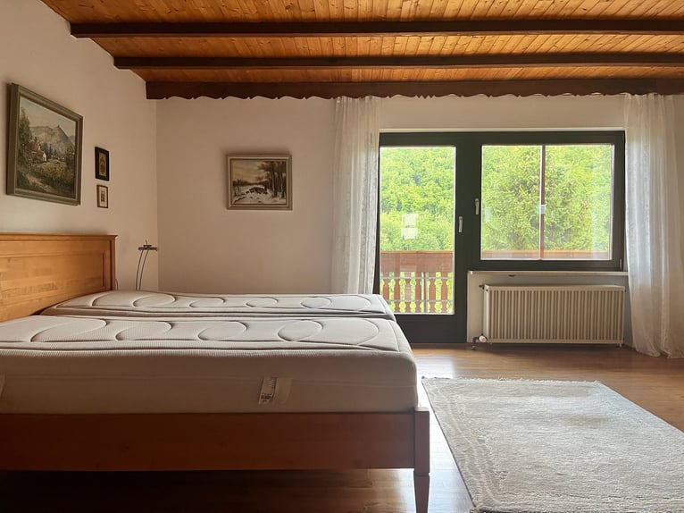 Uniek paardenpension in de Pfalz – 5,8 hectare, woning, stallen, binnenbak, buitenrijbaan, weiden