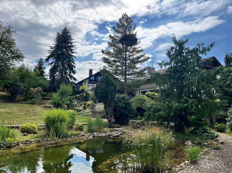 Uniek paardenpension in de Pfalz – 5,8 hectare, woning, stallen, binnenbak, buitenrijbaan, weiden