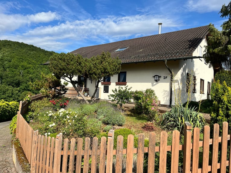 Uniek paardenpension in de Pfalz – 5,8 hectare, woning, stallen, binnenbak, buitenrijbaan, weiden