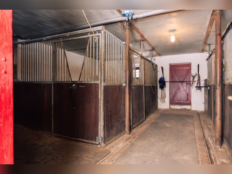 Uniek rijksmonumentaal pand voor individualisten. Perfect voor het houden van paarden.