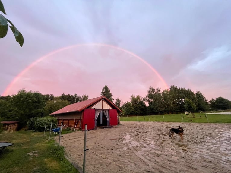 Uniek rijksmonumentaal pand voor individualisten. Perfect voor het houden van paarden.