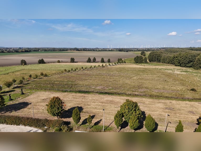 Unieke paardenaccommodatie bij Potsdam met 16 hectare omringend land