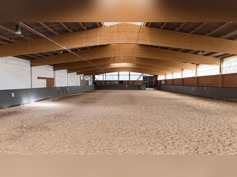 Unieke paardenaccommodatie bij Potsdam met 16 hectare omringend land