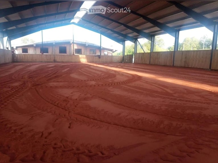 Unieke paardenboerderij met veelzijdige gebruiksmogelijkheden