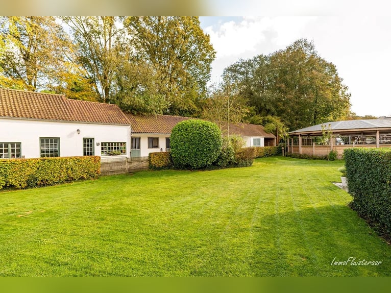 Unieke trainingsstal met prachtige villa op ca. 1 ha te Halle-Zoersel (Mogelijkheid tot aankoop extr