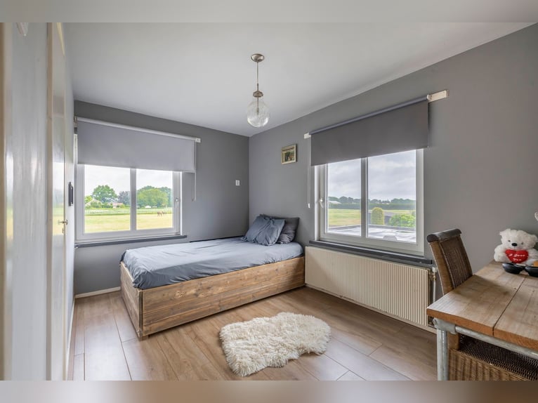 Unique equestrian property with 10 stables & outdoor arena near forest trails