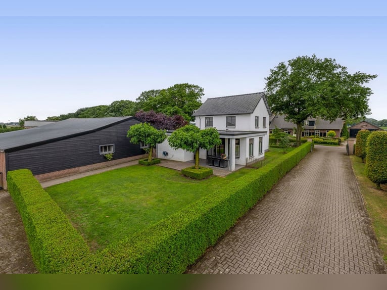 Unique equestrian property with 10 stables & outdoor arena near forest trails