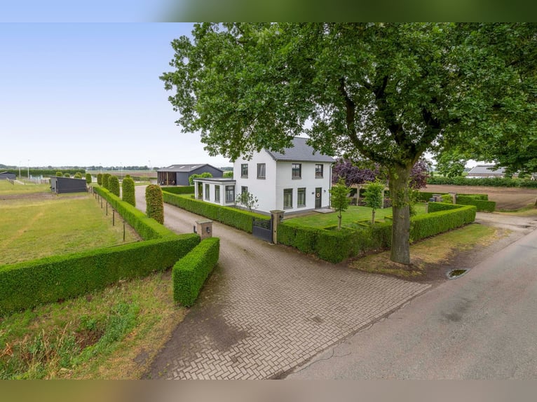 Unique equestrian property with 10 stables & outdoor arena near forest trails
