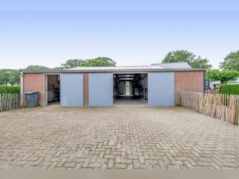 Unique equestrian property with 10 stables & outdoor arena near forest trails