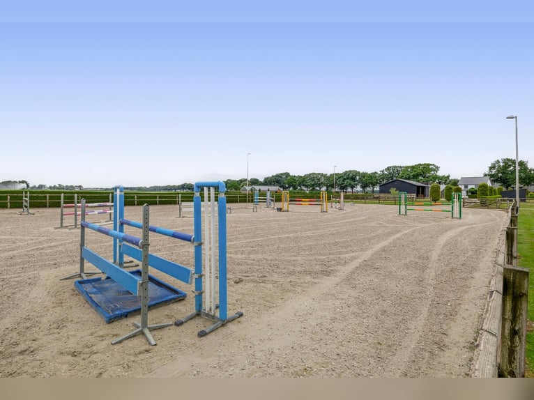 Unique equestrian property with 10 stables & outdoor arena near forest trails