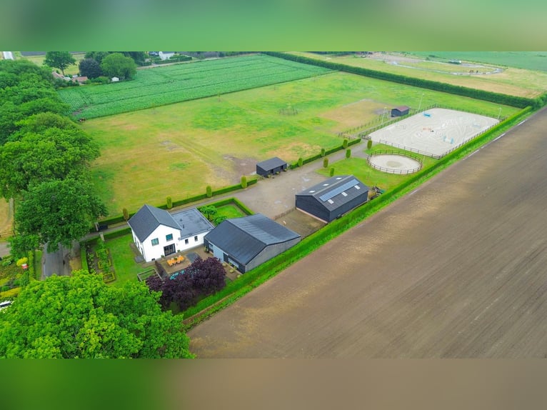 Unique equestrian property with 10 stables & outdoor arena near forest trails