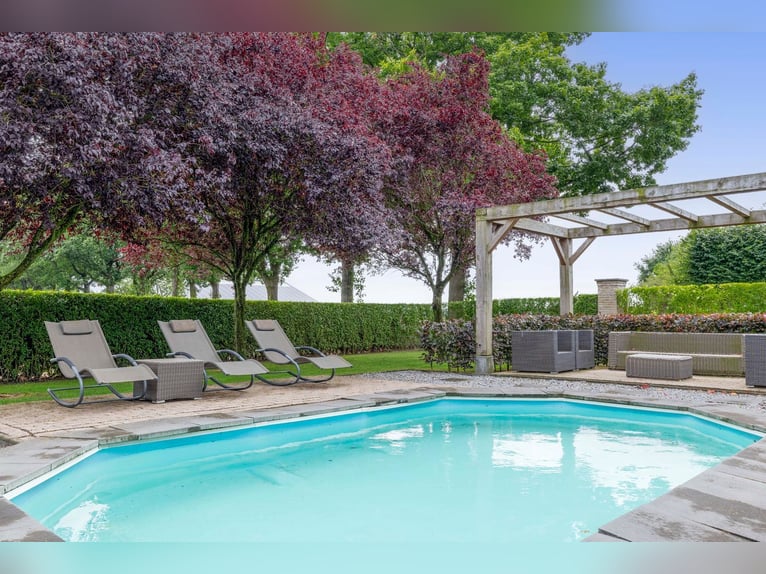 Unique equestrian property with 10 stables & outdoor arena near forest trails